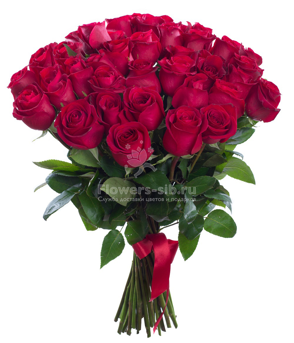 BOUQUET OF 33 ROSES